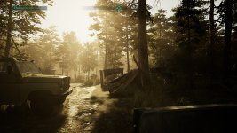 Chernobylite (4).jpg