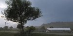 Forza Horizon 5 2021-11-12 23-50-44.jpg Forza Horizon 5 2021-11-12 23-50-44.jpg