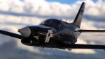 MSFS-27.jpg