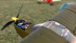 MSFS-284.jpg