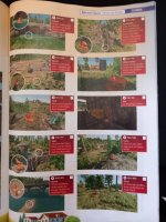 Silverrun Forest 2.jpg