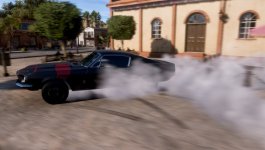 shelby.jpg