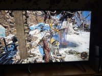 IMG_0099.jpeg