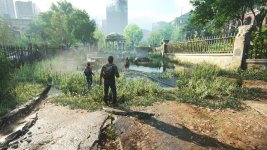 IMG_3114.jpeg