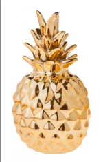 goldene_Ananas Kopie.png