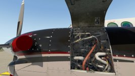 P5.jpg