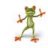 leFrog