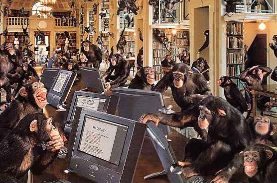 monkey_computer11.jpg