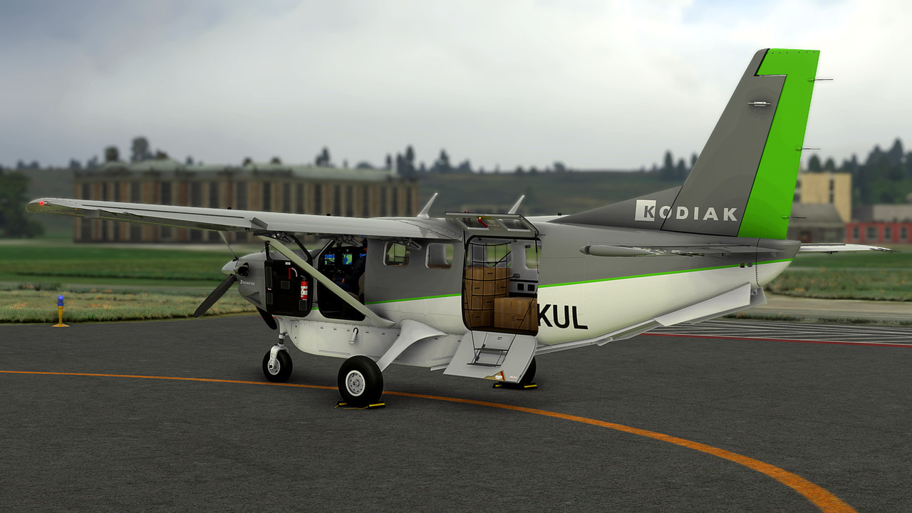 MSFS-263.jpg