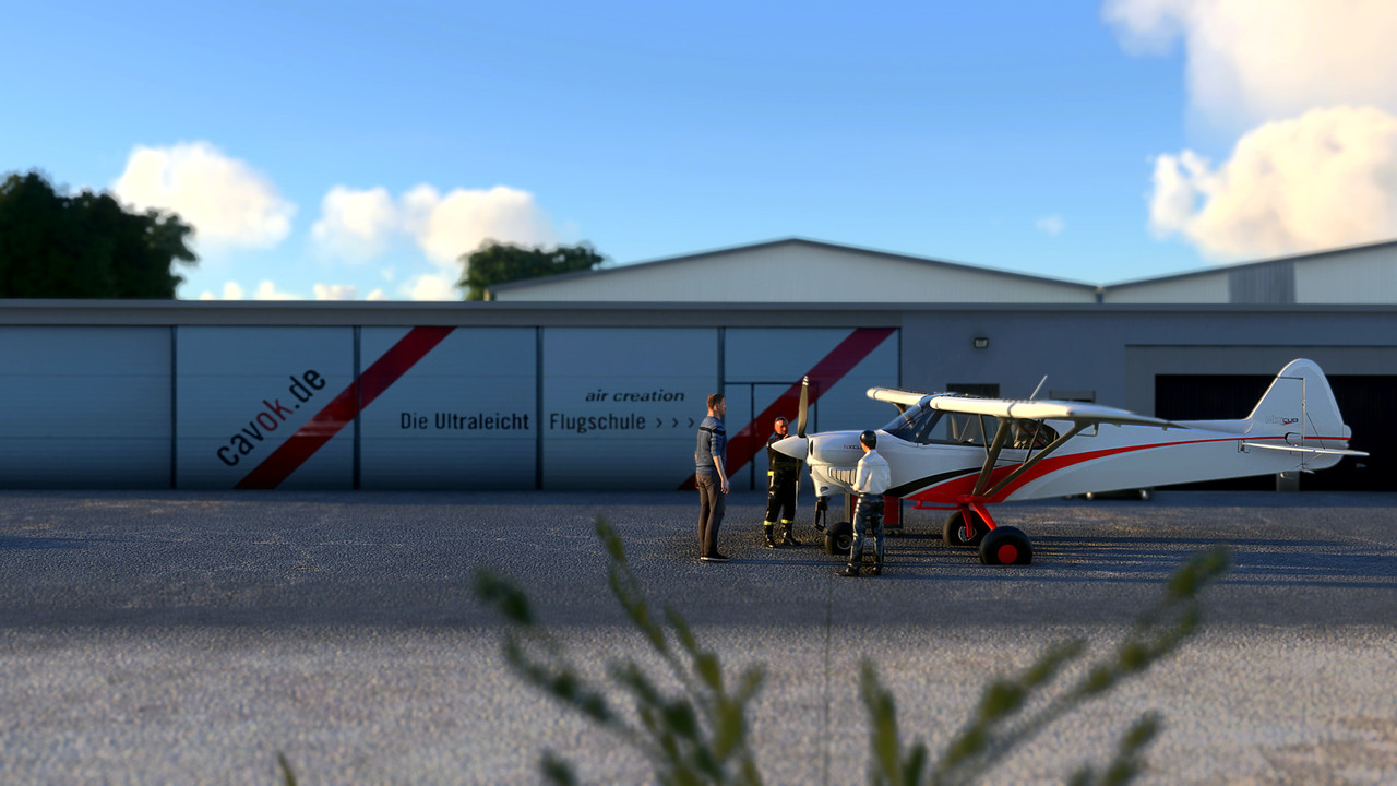 MSFS-216.jpg