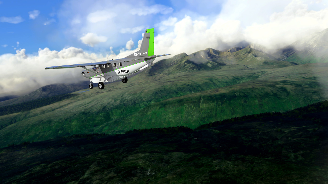 MSFS-260.jpg