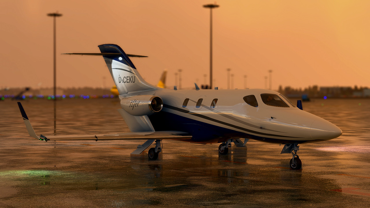 MSFS-389.jpg